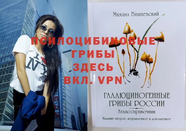 соль курить ск Переславль-Залесский