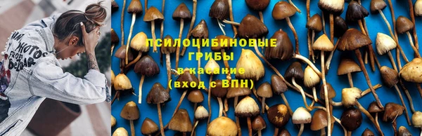 а пвп мука Пестово