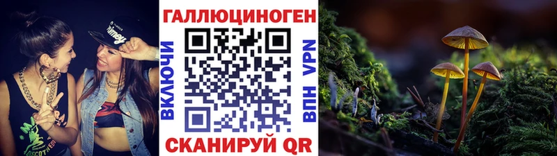 блэк спрут как войти  Шарья  Псилоцибиновые грибы прущие грибы 